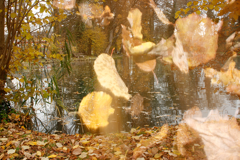 Foto mit dem Öliweiher und fallenden Blättern davor